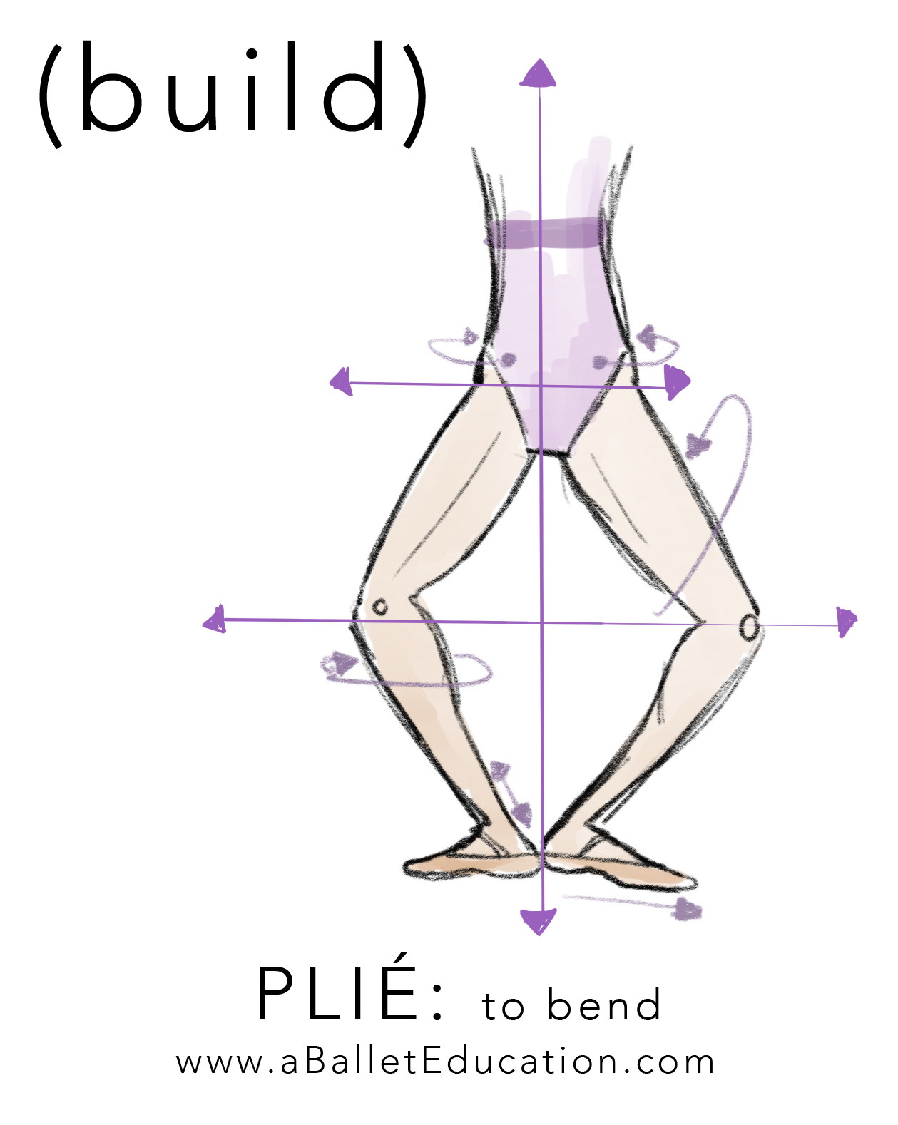 1- Plié: flexão. Este é um dos movimentos mais importantes e necessários para a técnica do ballet. Primeiro exercício executado na barra, consiste numa pequena ou profunda flexão dos joelhos (demi ou grand plié), que é executada em todas as posições fundamentais. Aprendemos o plié no baby class e o fazemos por toda a vida. Alguns maitres dizem que se conhece uma bailarina ao ver o seu plié.